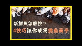 新鮮魚怎麼挑？ 4技巧讓你成爲挑魚高手