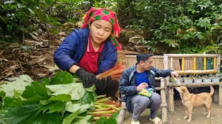 Today I went up the hill to pick vegetables to sell. He cut bamboo to repair the farm