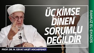 Üç Kimse Dinen Sorumlu Değildir | Prof. Dr. Cevat Akşit Hocaefendi