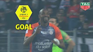 Goal Souleymane CAMARA (85') / Montpellier Hérault SC - Paris Saint-Germain 3-2 MHSC-PARIS / 2018-19