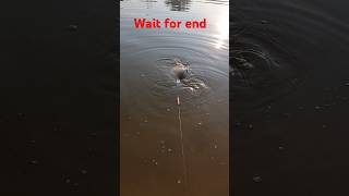 Fishing time video