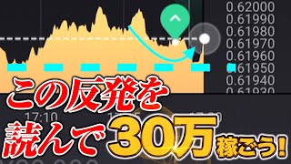 バイナリーオプション初心者でも勝てるツールで1万を30万にできるか⁉【ハイロー ペイアウト2.00 攻略】