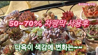 공들여 물들인 내다육이 💗색감빠지면 안되는뎅~🏜