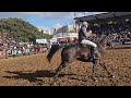 Expo Rural Palermo 2023. - Caballos de Polo, Juanma Nero, jurado.-