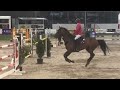 wh delilah winner 150 class csi 3* humlikon 2021