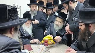 Viznitz London Rebbe Visits Machnovka Rebbe