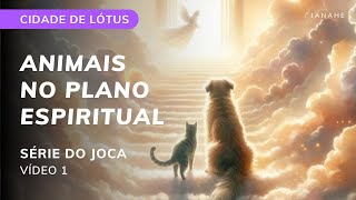 ANIMAIS NA COLÔNIA ESPIRITUAL - JOCA vídeo 1