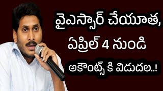 వైయస్సార్ చేయూత ఏప్రిల్ 4 నుండి అకౌంట్స్ కి డబ్బులు జమ || YSR Cheyutha || Cheyutha || Cheyutha 2024.