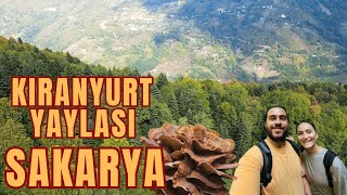 Artık yeni bölge! | Sakarya Kıranyurt Yaylası Doğa Yürüyüşü Vlog