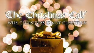 The Christmas Calf - Why Christmas is not for Christians