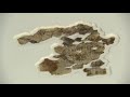 archeologists discover rare ancient biblical scrolls evidence for the bible must watch