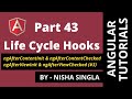 Angular Life Cycle Hook #Part3 | content vs view (Tutorial 43)
