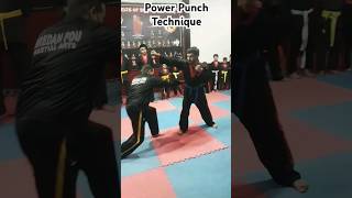 Power Punche Technique #mma #bredanfou #karate #martialarts #taekwondo #fightskills #shorts #kick