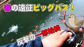 【バス釣り】春のスピナーベイトで反撃のデカバス捕獲の一部始終!!アラバマリグの破壊力を体感した遠征の記録【ダム・リザーバー】【レイドジャパン】