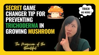 Secret Tip To Prevent Trichoderma In Mushroom Growing | Contamination