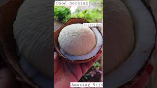 Good morning Friends||പൊങ്ങ് ഇഷ്ടമാണോ🥰||#short