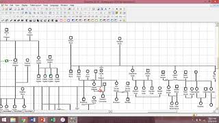 Genogram Presentation 2019