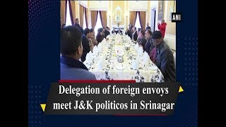 Delegation of foreign envoys meet J\u0026K politicos in Srinagar