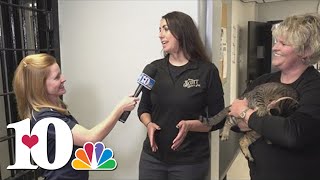 Hometown Spotlight: A look at Huntsville's historic Scott County jail