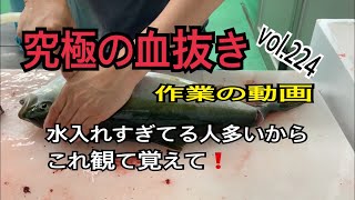 究極の血抜き作業動画編 vol.224