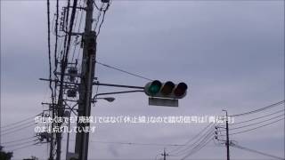 【ワイルドフラワー】汐見町駅と汐見町線【休止線】