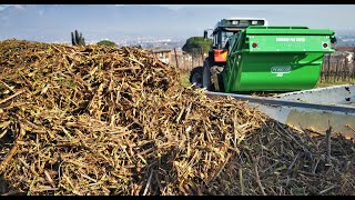 Trincia Sarmenti con Raccolta mod. CANGURO PROFESSIONAL PERUZZO, Heavy Duty Flail Collection Mower