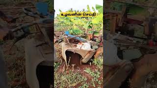 வாழைக்கு வரப்பு கட்டும் முறை,,#விவசாயம் #viral #வாழைமரம்#சீமான்மேடைபேச்சு