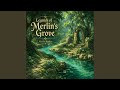 Echoes of Stone Castles