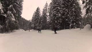 Grän im Füssner Jöchle - Tannheimer Tal