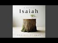 Isaiah 9 - Wonderful Counselor