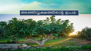 അത്തിവൃക്ഷത്തിൻ്റെ ഉപമ (Parable of the fig tree)