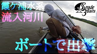 【霞ヶ浦】流入河川ボートで出撃【霞ヶ浦水系】