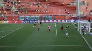 Campeonato Paulista 2014 - Confira os gols de Palmeiras 2 x 1 Linense