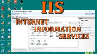 IIS Internet Information Services