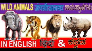 Wild Animals Name In English Hindi And Kannada | जंगली जानवरों के नाम | ಕಾಡು ಪ್ರಾಣಿಗಳ ಹೆಸರು