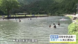 深さは50cmから2mまで…川をせき止めた“天然のプール”で家族連れらが水遊び 三重・紀宝町の相野谷川