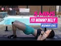 5 Min Workout For DIASTASIS RECTI | Exercises To Heal Your Ab Separation & Get Rid of Your Mom Pouch