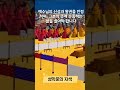 1분q.t 성막문의 자색 성경살이365 성막q.t생활 tabernacle