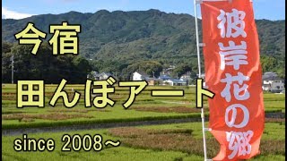 【おいでよ今宿！】今宿田んぼアート紹介動画（JA福岡市）