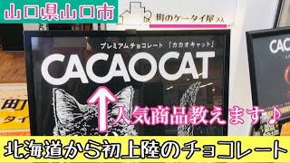 【CACAOCAT】チョコレート専門店が山口県山口市に初出店！北海道チョコレートってどんなの？#130