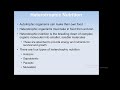 how do autotrophic nutrition and heterotrophic nutrition differ