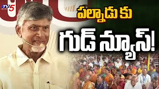 పల్నాడు కు గుడ్ న్యూస్! | CM Chandrababu Says good News to Palnadu | AP News | TV5 News