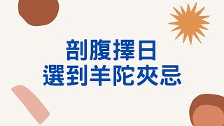 紫微洩天機客戶案例: 找老師剖腹擇日，選到羊陀夾忌的敗局 |紫微斗數 |蔡添逸紫微斗數 |羊陀夾忌