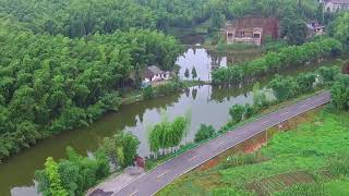 毛哥旅行记带你看中国：深受城里喜爱的四川农村，美得不像话