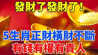 發財了發財了！這五大生肖正財橫財不斷！運勢大紅大紫，有錢、有權、有貴人，尤其是屬這個生肖的人！【禪定自在】#生肖 #運勢 #命理