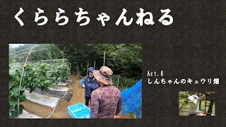 しんちゃんのキュウリ畑～五ヶ瀬町くららちゃんねる～