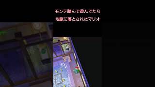 モンテ踏んで遊んでたら地獄に落とされたマリオ