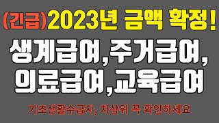 2023년 기초생활수급자, 차상위 기준금액 확정! (생계급여, 주거급여, 의료급여, 교육급여 금액 확인하세요)