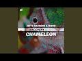 Chameleon (Original Mix)
