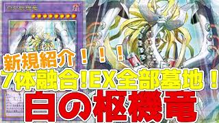 新規紹介！白の枢機竜！アルバスの落胤+6体で融合！4500打点の全体攻撃攻撃！EX全墓地も！！！【遊戯王】